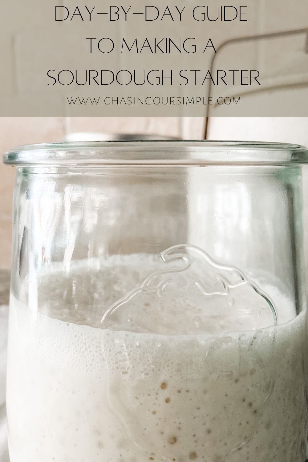 Daily guide to making your own sourdough starter chasing our simple