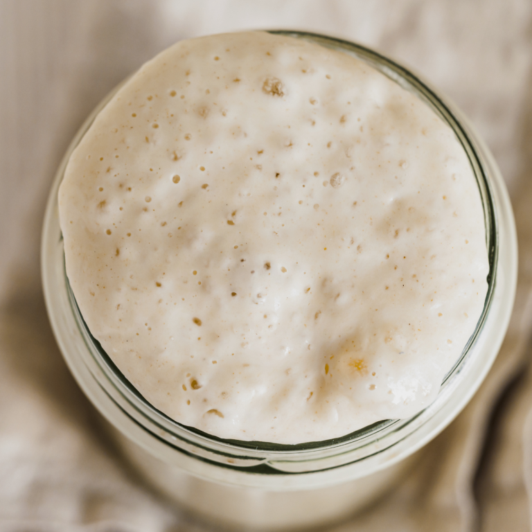 How To Make A Sourdough Starter- Free Guide