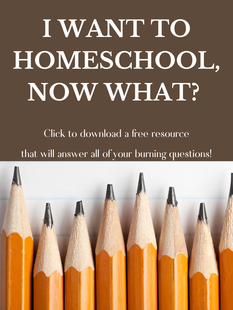 A Homeschooling Guide for Beginners -How to Start