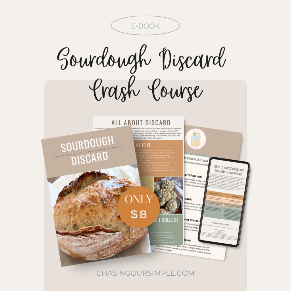 sourdough discard course