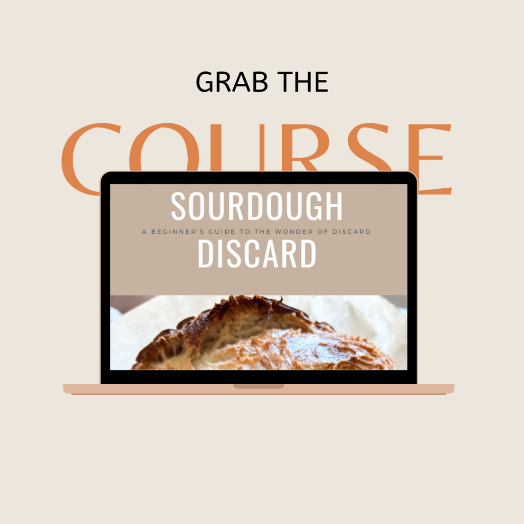 sourdough discard course