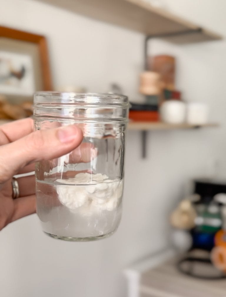 Is It Ready? How To Test Sourdough Starter - Chasing Our Simple