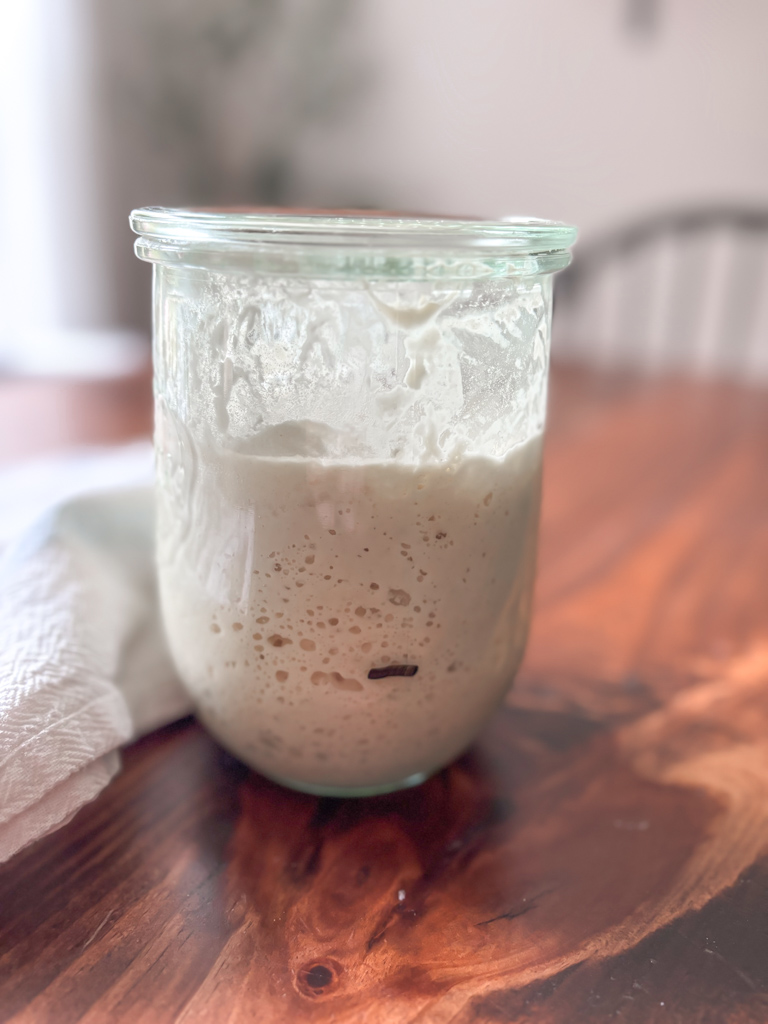 doubled sourdough starter