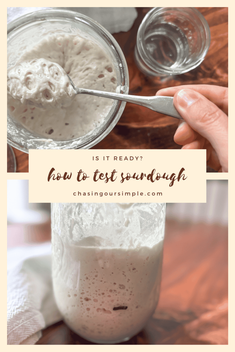 Is It Ready? How To Test Sourdough Starter - Chasing Our Simple