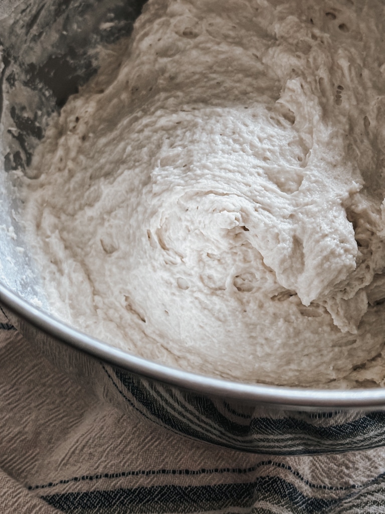 sourdough dough in a bowl