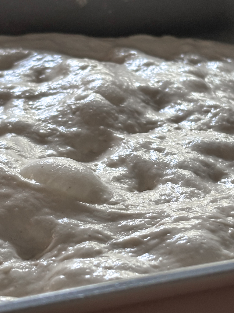 focaccia dough bubbles