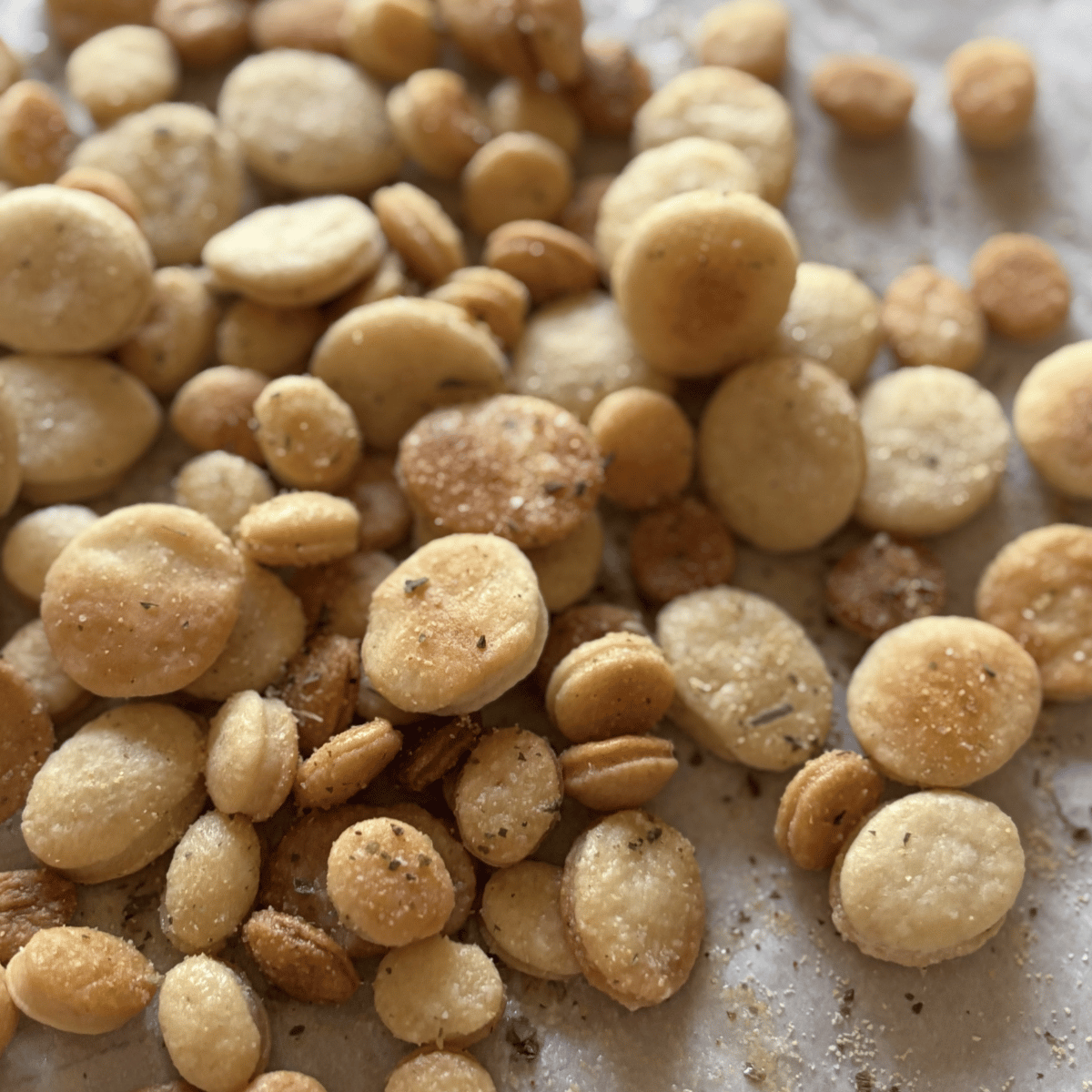 sourdough soup crackers