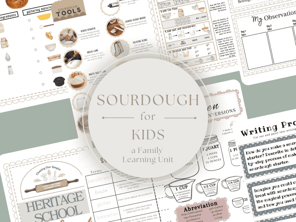 flatlay of pdf images from a sourdough course for kids