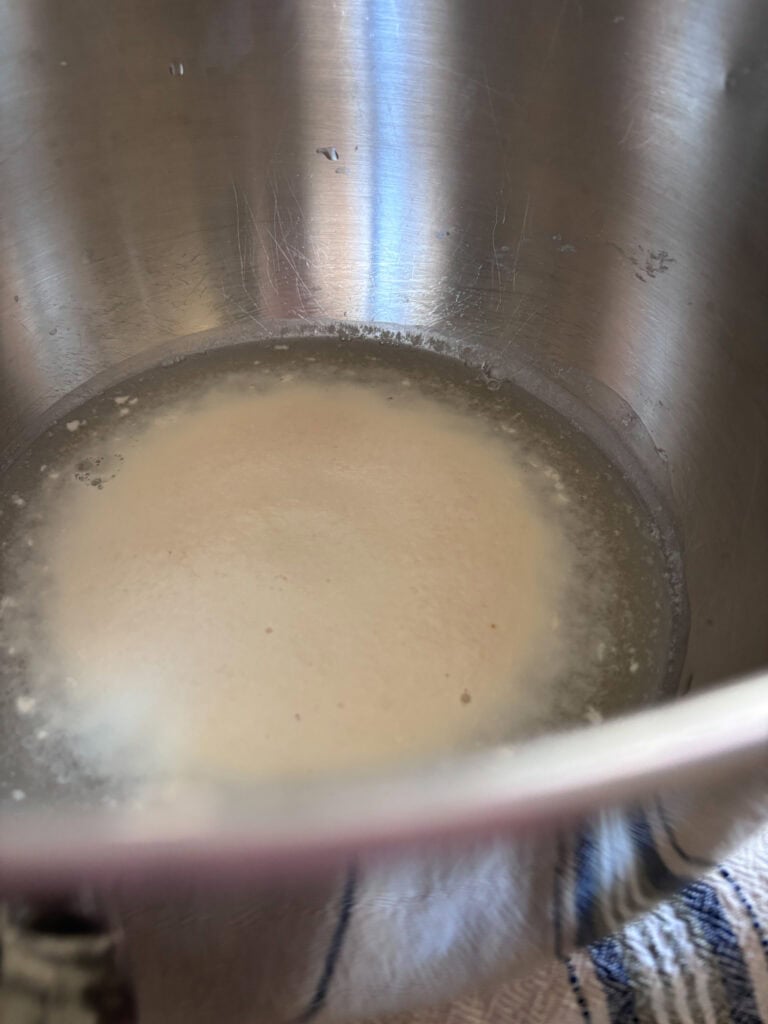 first ingredient of making bread, yeast proofing in bowl