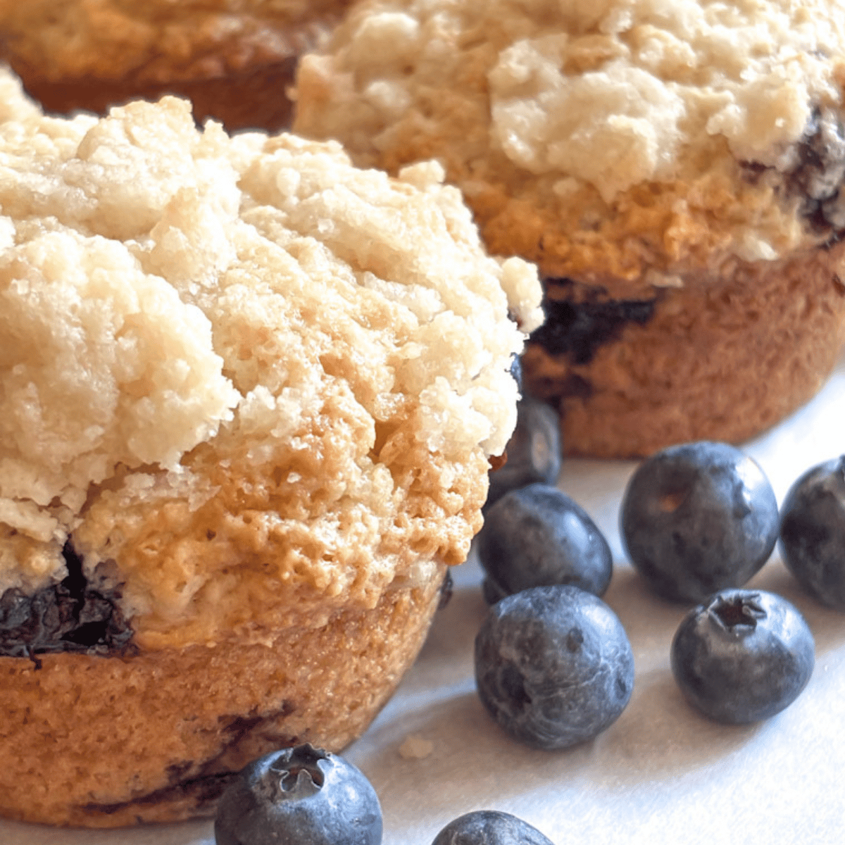 close up of blueberry muffins with blueberries on a plate