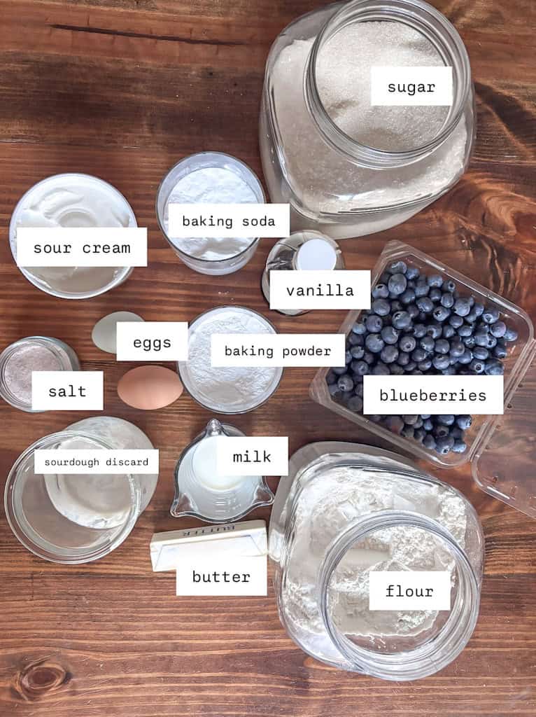 top view of sourdough blueberry muffin ingredients