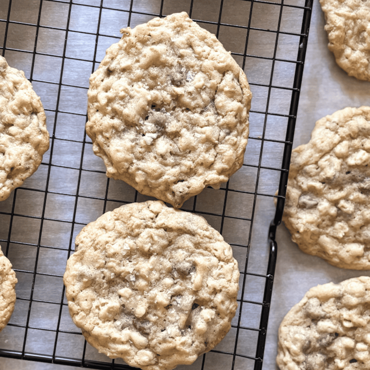 Chewy Sourdough Discard Chocolate Chip Cookies with Oats