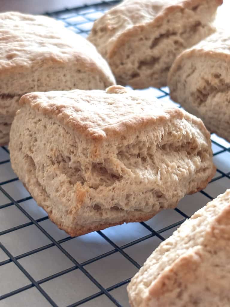 close up of sourdough biscuit on a wire rack