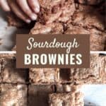 sourdough brownies