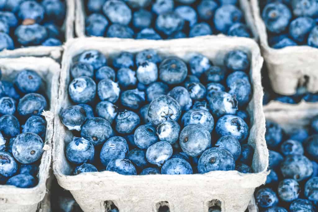 close up of blueberries in carboard containers