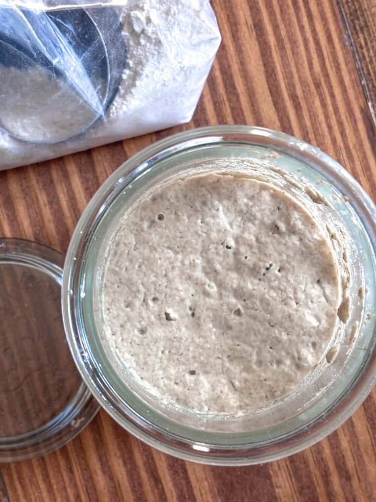 top view of freshly milled sourdough starter