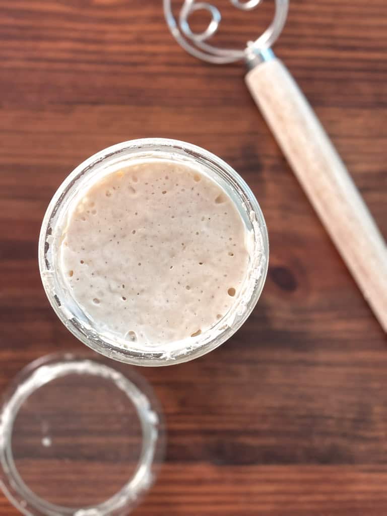 top view of sourdough starter