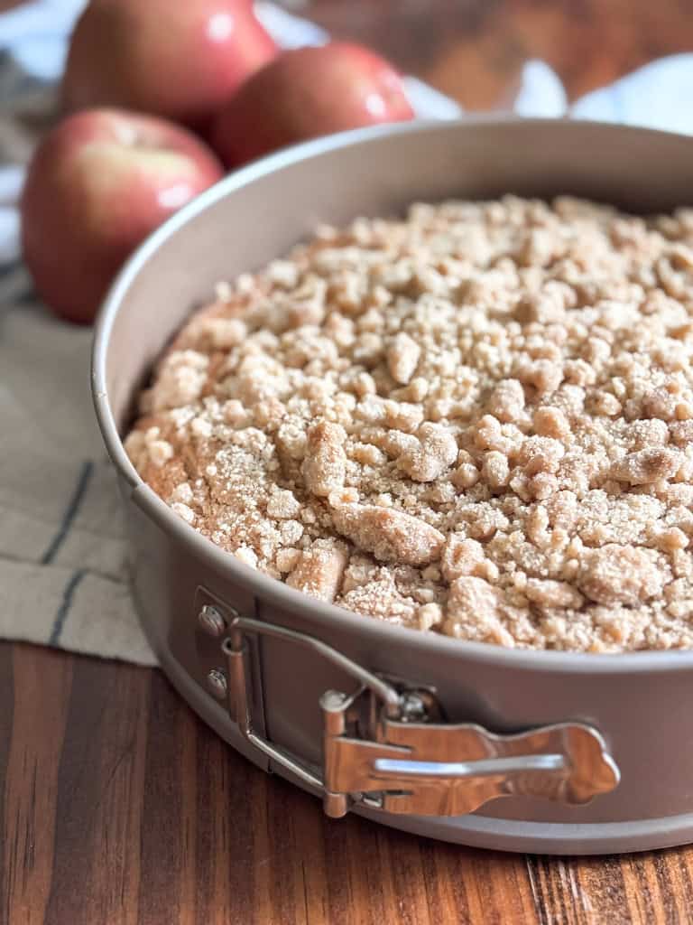 sourdough apple cake in a springform pan