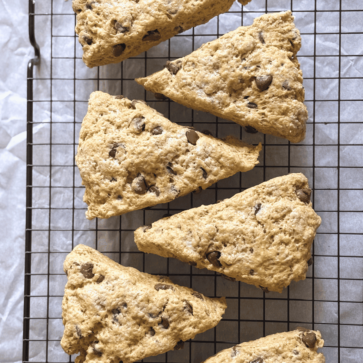 Sourdough Pumpkin Scones with Chocolate Chips