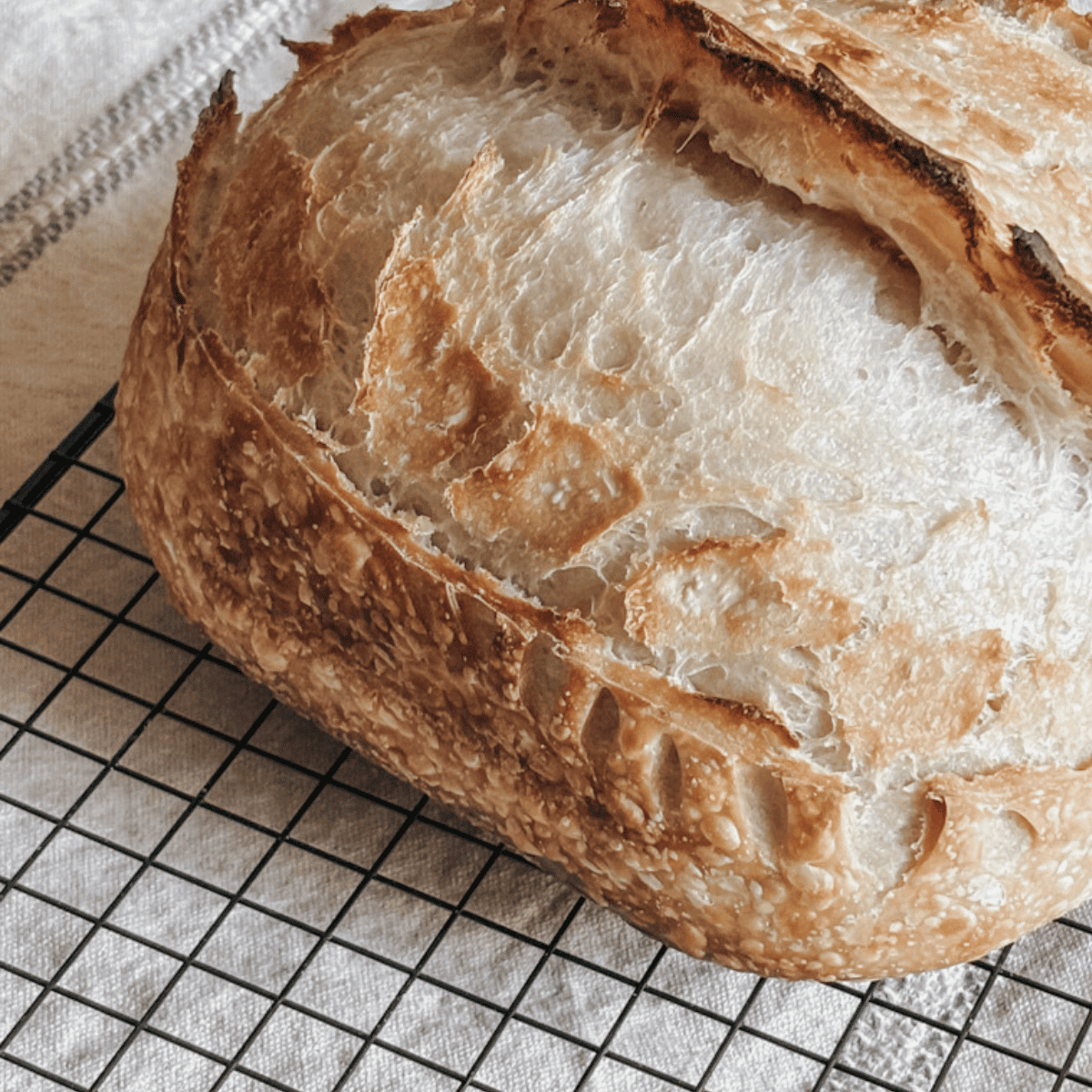 Single Loaf Basic Sourdough Bread Recipe