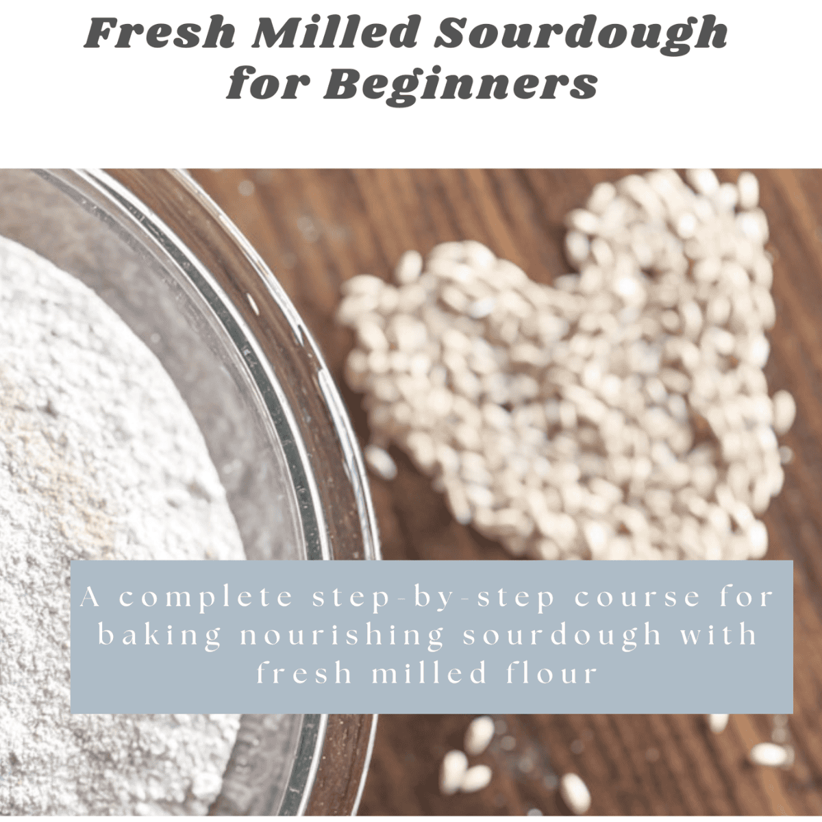 Fresh Milled Flour Sourdough Course for Beginners