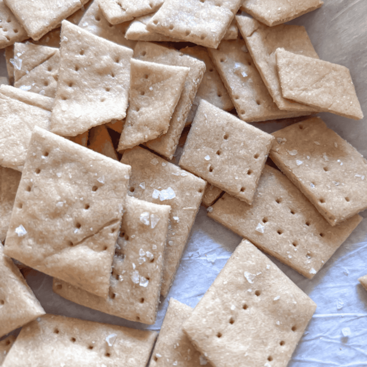 Homemade Crackers with Fresh Milled Flour (4 Ingredients)