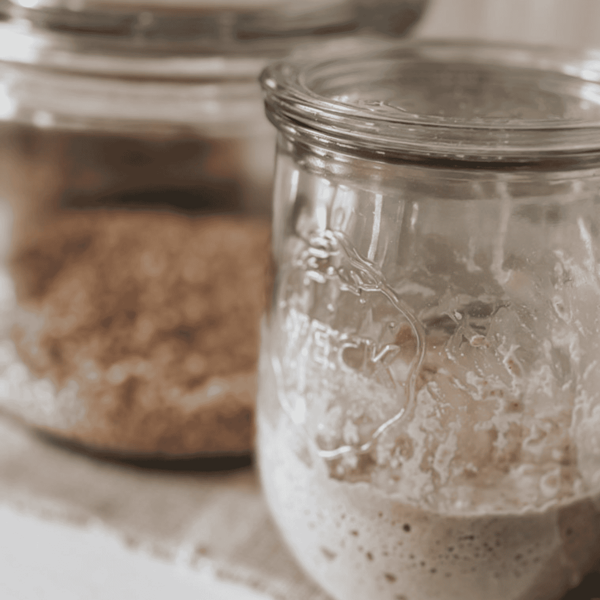 How to Feed & Maintain a Fresh Milled Sourdough Starter